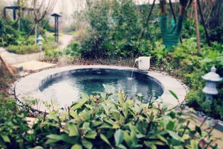 龍水湖溫泉榮獲溫泉奧斯卡金湯獎十佳溫泉