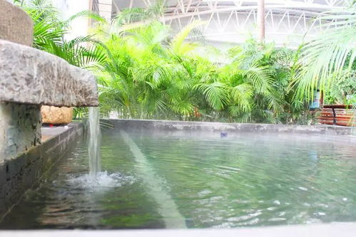 大頂子山溫泉旅游區泡溫泉攻略