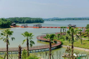 咸寧第十一屆溫泉文化旅游節(jié)昨晚在武漢起航,嘉魚文旅產(chǎn)品燃爆楚河漢街