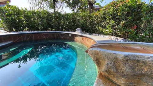 冬游河南 踏雪尋梅 河南溫泉旅游季精彩來襲