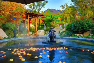 冬日情侶出游,滑雪泡溫泉 體驗灃峪高山滑雪,享秦嶺上王湯