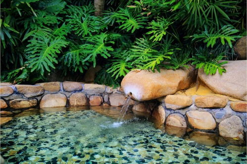 王者歸來 天子溫泉全面開放送福利,門票低至38元 張