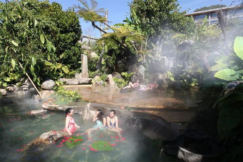 騰沖溫泉一雙柔情的 手