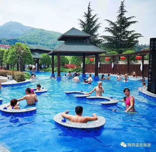 又到了泡溫泉時節,這幾家溫泉可得小心了