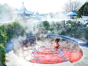 2017山東好時節沂蒙暖冬之旅 暨首屆中國 臨沂 國際溫泉旅游文化節盛大開幕