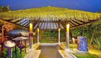 淺談溫泉旅游度假式養老項目