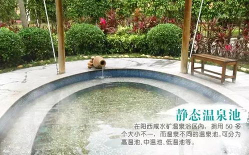 就是要泡真溫泉 省內溫泉游暖心推薦 周末可以開車去耍啦