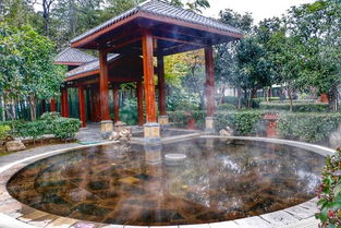 2019西安溫泉旅游季盛大啟幕,多重惠民活動溫暖這個冬季