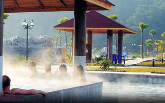 房車趣旅行 森林溫泉 祈福迎春 篝火晚會2天房車之旅