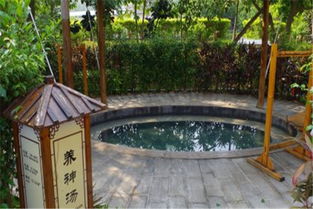 陽西咸水礦溫泉旅游度假山莊門票 溫泉門票 金馬國旅官網