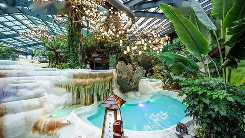 喜訊 常德熱市溫泉旅游專線開通啦