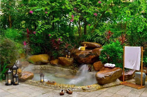 泉因有你 愉悅龍門 龍門縣舉辦第二屆溫泉節 探索康養產業 發力灣區旅游