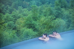 江蘇天目湖2日1晚半自助游 泡御水溫泉 新增竹尖溫泉 宿御湖半島湖景房