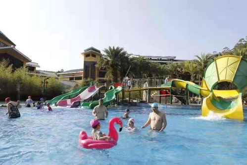 春節長假龍門迎客超24萬人次,攬金1.1億元