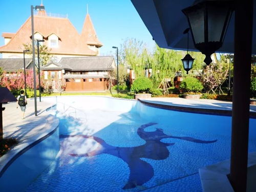 崇明南通兩地網(wǎng)友集中開(kāi)展采風(fēng)活動(dòng)