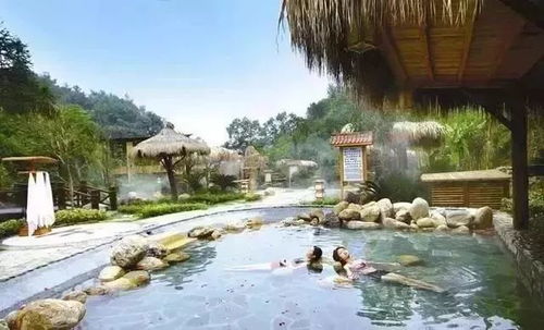 喜訊丨熱烈祝賀攬翠湖天沐溫泉當(dāng)選第三屆山東省溫泉旅游推廣聯(lián)盟輪流主席單位