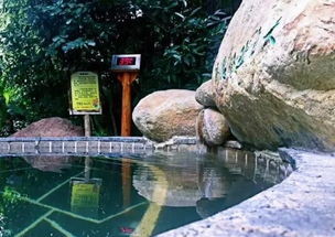 溫泉古鎮湯頭 首屆中國國際溫泉旅游文化節正在進行