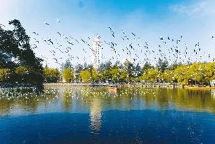 點贊 元旦假期昆明旅游實現 雙增長