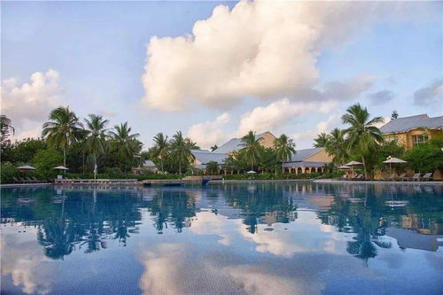 第二十一屆海南歡樂節瓊海分會場暨官塘溫泉文化旅游消費節正式開啟 十大精品活 溫暖 這個冬季