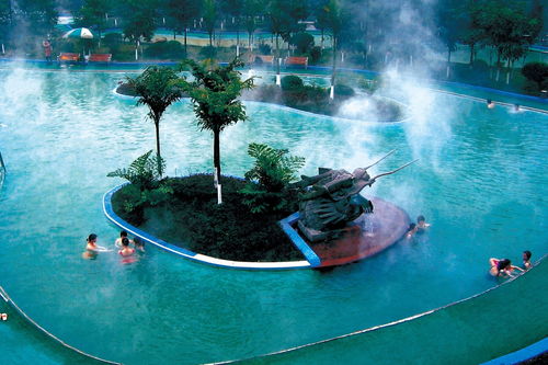 視頻丨重慶巴南區首屆溫泉旅游季11月啟幕