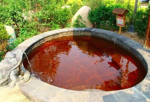 298元搶德百溫泉套餐 泡天然地熱溫泉,吃豪華自助早餐,逛旅游小鎮