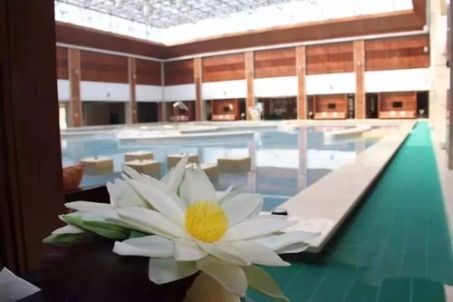 兩期連發┃玉舍雪山滑雪 精品民宿溫泉,威寧草海黑頸鶴,探秘土城古城自駕游