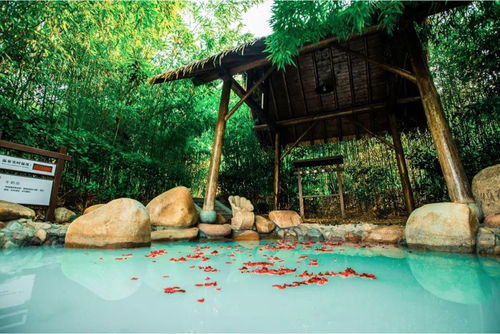 揚州2021冬季文旅活動和優惠政策發布 邀你冬游揚州