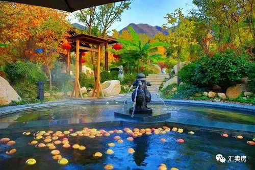 從住到養,曼樂途 彌勒康養one給出答案