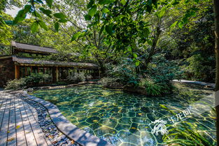 北碚做強溫泉引擎 打造精品特色溫泉旅游