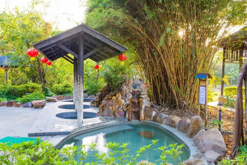 10000000元 龍門發(fā) 錢 啦