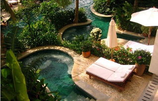 晨隆奧迪冬日深林溫泉派對 快來報(bào)名吧