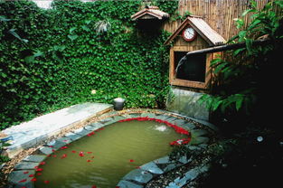 5月23日 僅39元享原價70元天賜溫泉門票1張