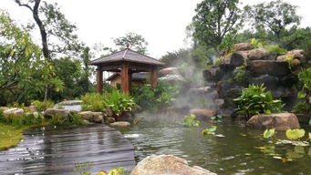 龍山溫泉旅游度假區附近有什么農莊