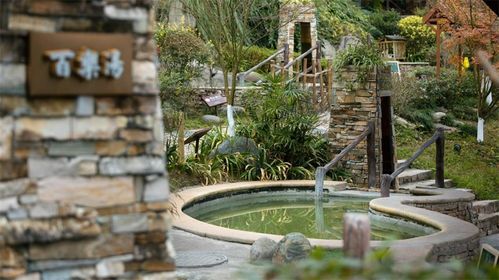 誦讀千遍 窗含西嶺千秋雪 不如一次身臨其境