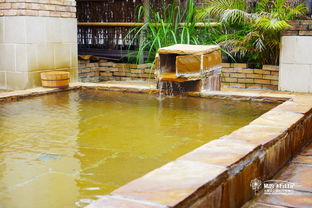 日本溫泉小旅行 五 天誅千夜 伊豆半島熱海溫泉庭院典范之作 熱海石亭 6月