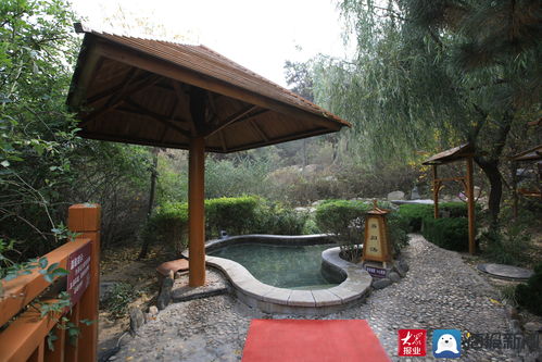 冬日的泰山溫泉城 泰山腳下的溫暖存在