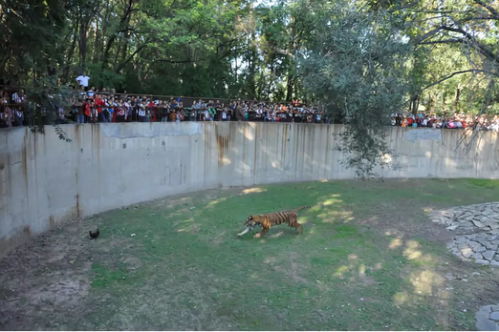 2018年國慶節 聊城假期旅游簡報 第五期