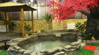 大邑花水灣櫻花柏櫟度假酒店 原花水灣中旅櫻花賓館 2晚 雙早 雙人仿日式溫泉