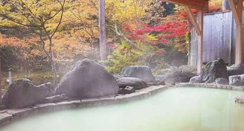 盤(pán)點(diǎn)2018日本簽證的一切 騷操作 ,旅游簽 工作簽 三年多次往返簽