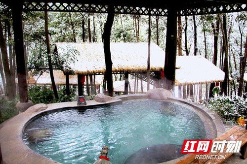 正月氣溫持續(xù)走低 降雪帶火張家界溫泉旅游