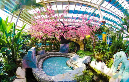 溫泉縣 端穩(wěn) 生態(tài)碗 吃上 旅游飯