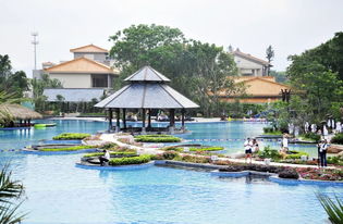 影帝華哥常來拍戲的中山小鎮(zhèn),如今竟想 泡 出新名堂