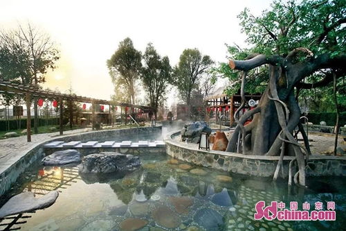 煙臺人游煙臺旅游直通車駕到 艾山溫泉特惠票限量開搶