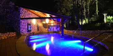 夏季精品養生 湯山紫清湖溫泉度假酒店1晚 湯山紫清湖旅游區門票 溫泉 室外水世界 可攜帶一名兒童體驗獅子星兒童樂園淘氣堡一次