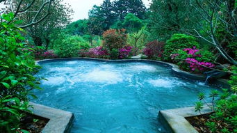 騰沖精品溫泉一日體驗游 柏聯 悅椿 洞山溫泉任選1