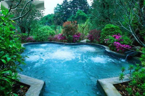 冬航季來了 秋風(fēng)漸起時,邂逅騰沖那一泓泓溫暖的泉