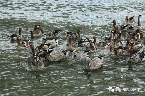 這,就是齊齊哈爾