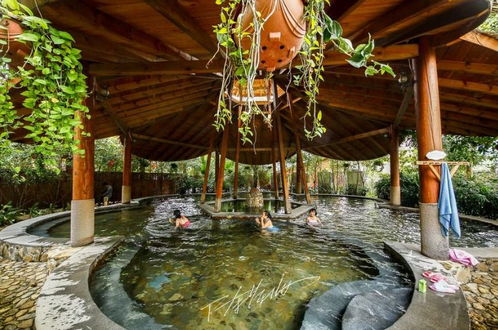 降溫了,泡溫泉去 大家旅游特別策劃 泡溫泉 賞美景 嘗美食,天一溫泉 金德寶溫泉 林語花溪溫泉 高峰谷 冠豸山 八鄉(xiāng)山 拎包走起