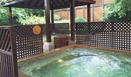 美團(tuán)旅行2017年溫泉游大數(shù)據(jù) 春節(jié)長假將迎溫泉游最高峰