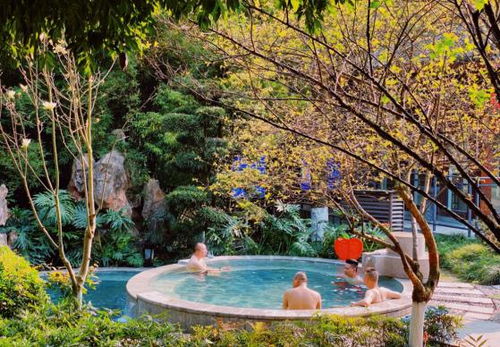 統(tǒng)景溫泉中心恢復(fù)營業(yè) 獲游客熱情盛贊